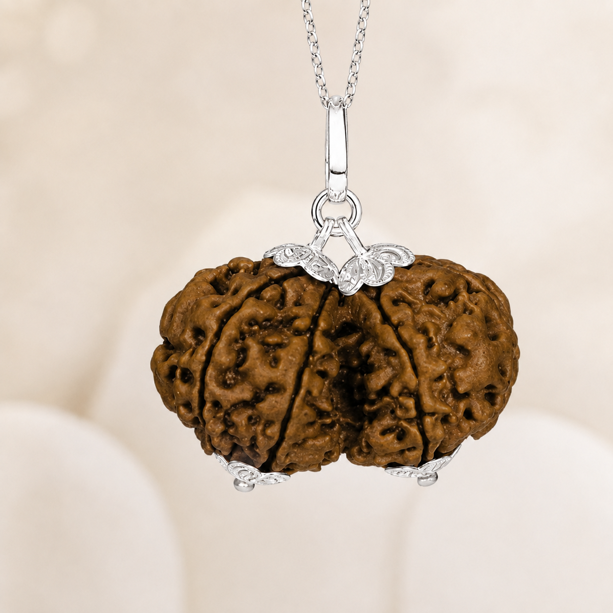 Gauri Shankar Rudraksha (Nepal Origin)
